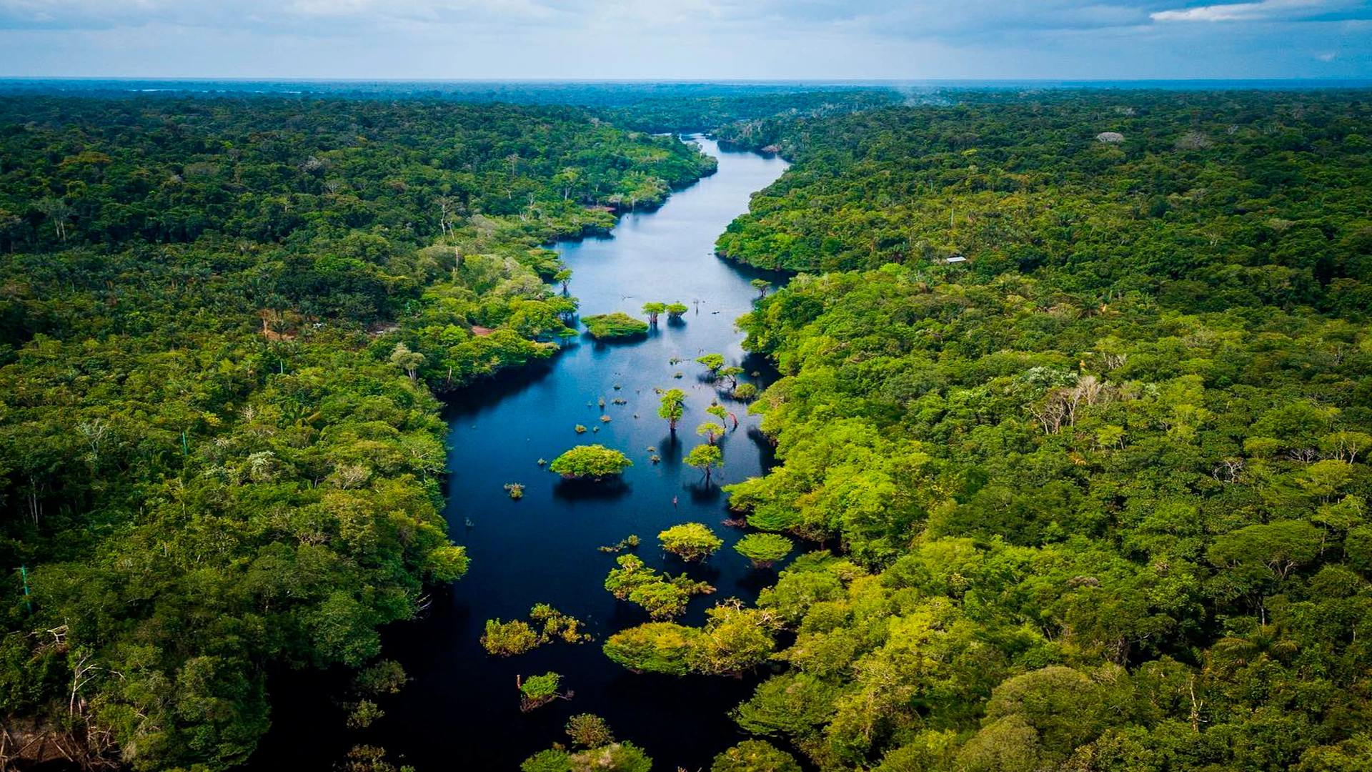 RIR-Brasil-Natureza-viva-Fundo-1920x1080-FULL-HD RIR Brasil Florianópolis SC IA Voz do Manejo Agroflorestal