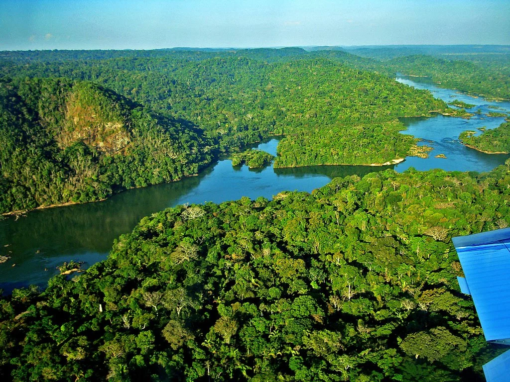 rir-brasil-amazonica RIR Brasil Florianópolis SC IA Voz do Manejo Agroflorestal