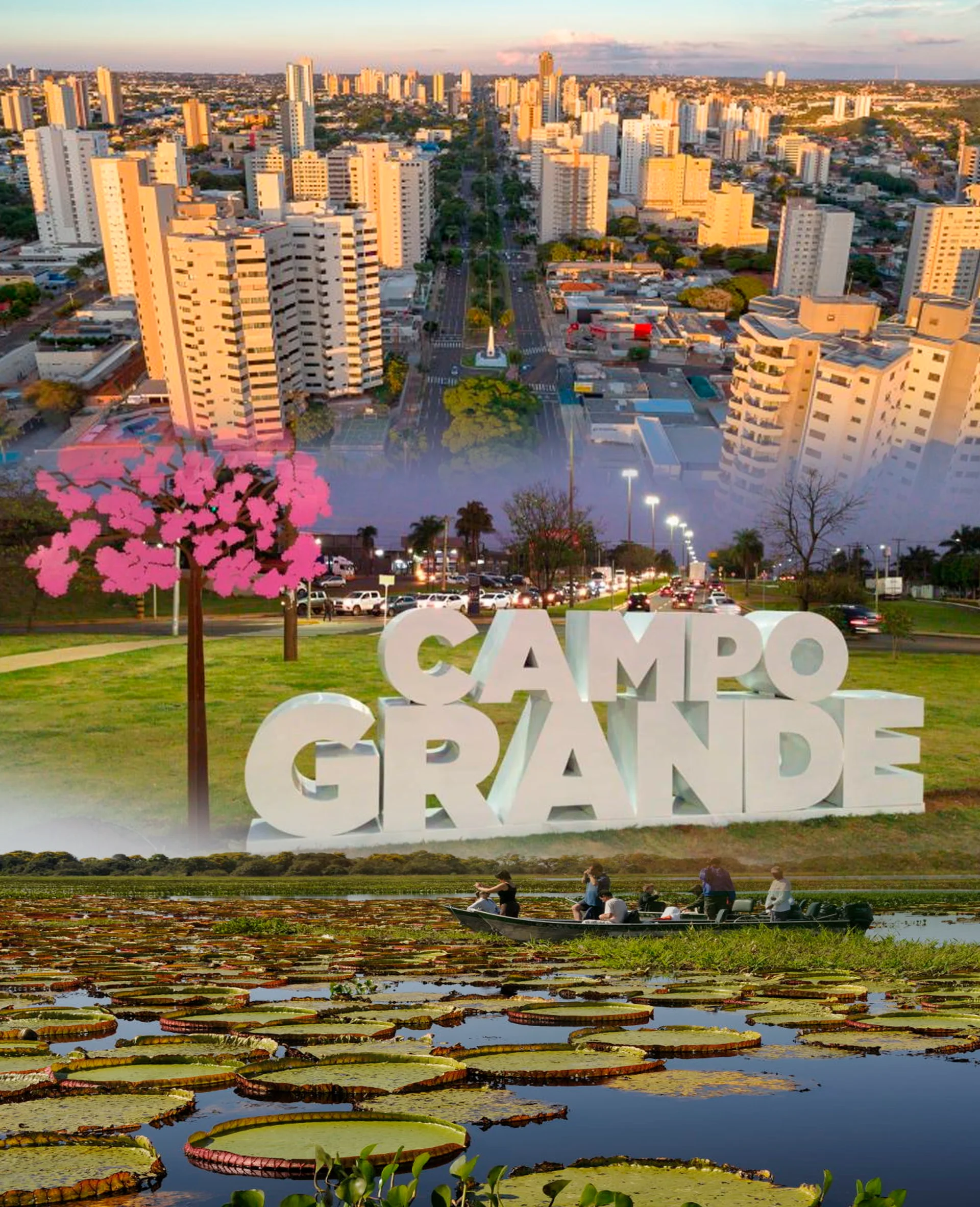 Campo-Grande-MS RIR Brasil Campo Grande MS I A Voz do Manejo Agroflorestal