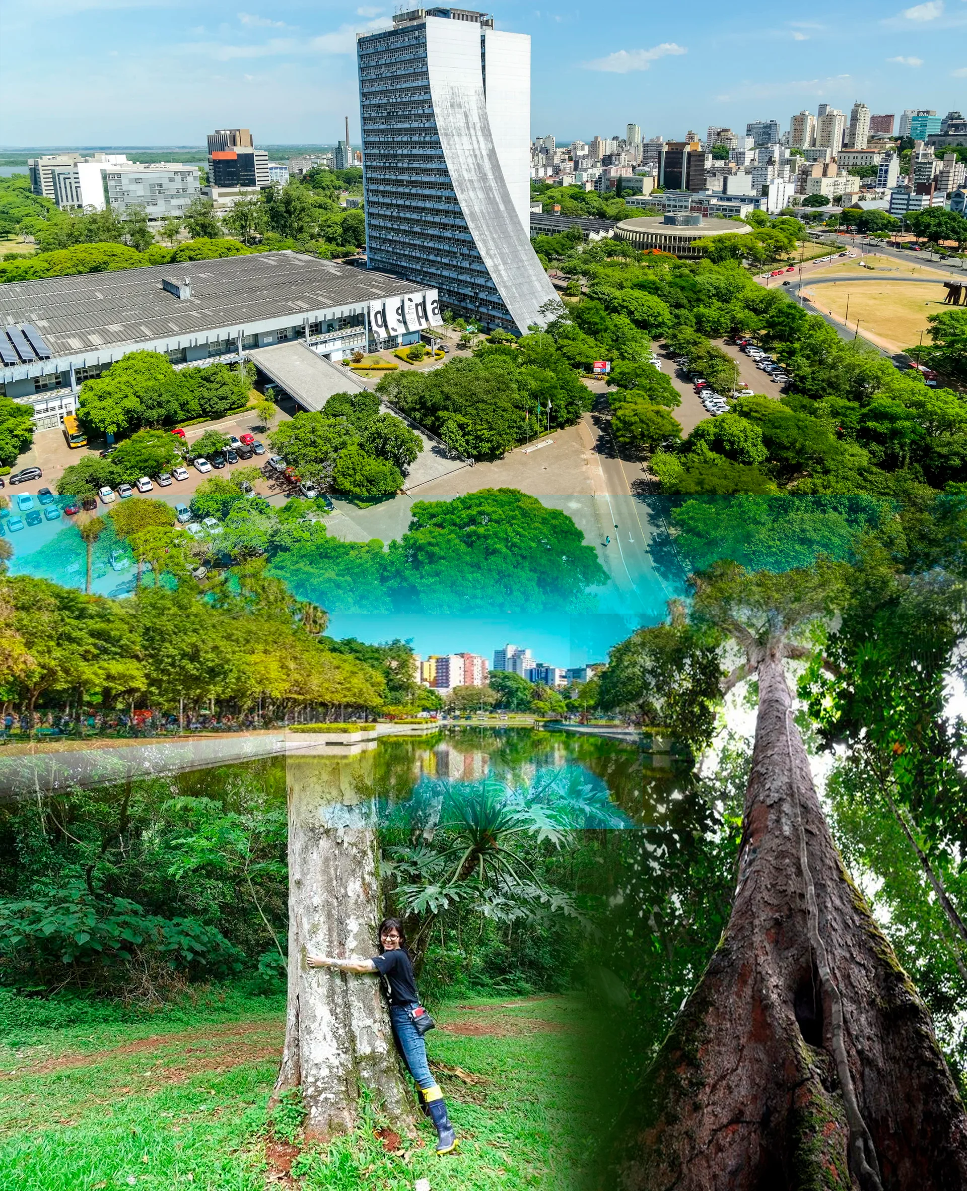 Porto-Alegre-RS-1 RIR Brasil Porto Alegre RS IA Voz do Manejo Agroflorestal